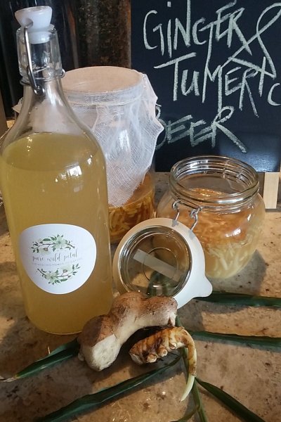 clinical nutrition ginger turmeric beer